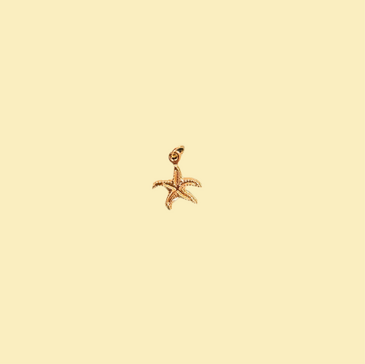 Small seastar charm