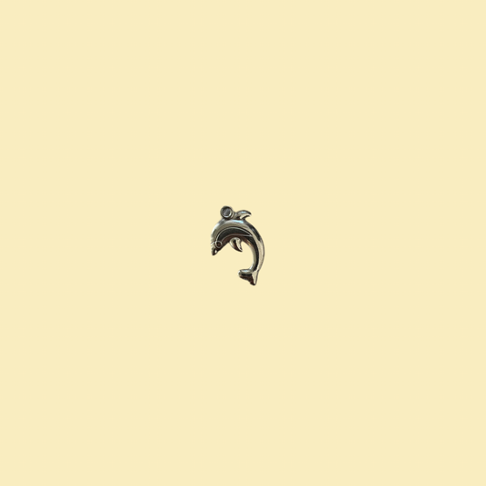 Dolphin charm