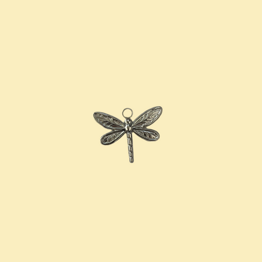 Dragonfly charm