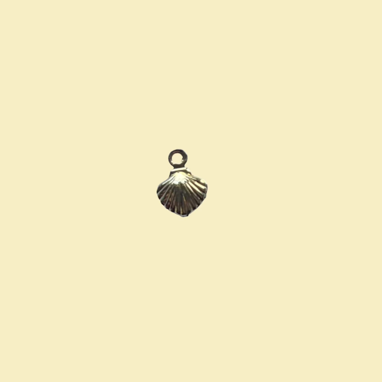 Small seashell charm